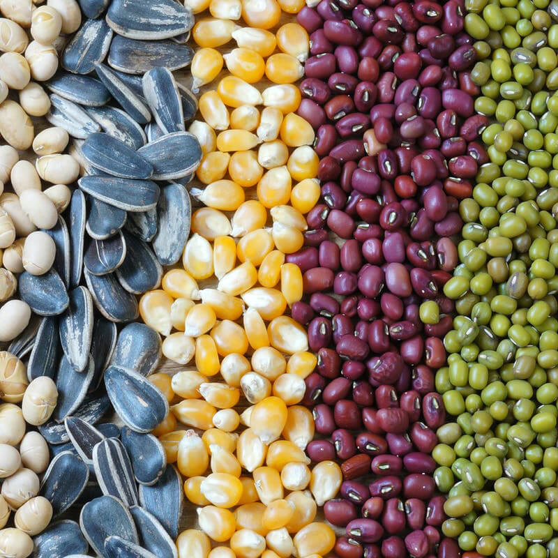 آلة تعبئة البذور الأوتوماتيكية